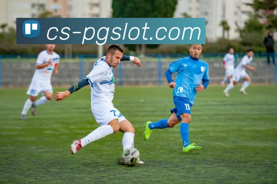 PG电子官网平台生态图