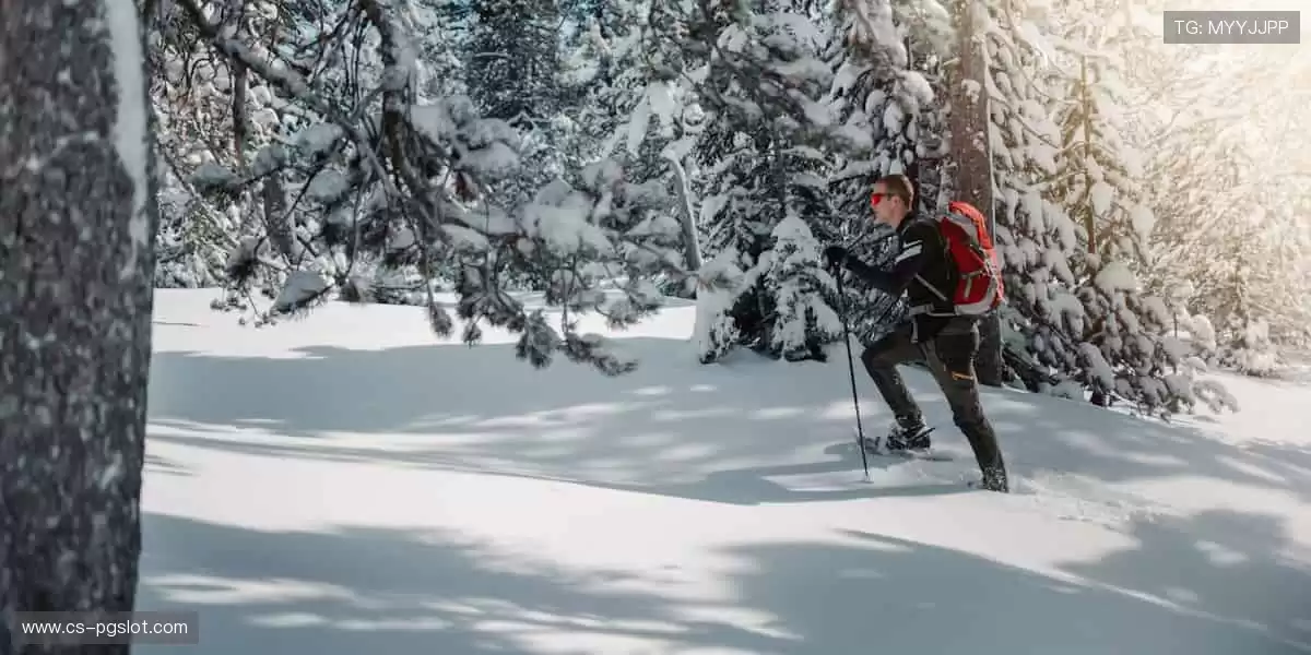 一键解锁全球赛事，让热爱永不缺席⚽️